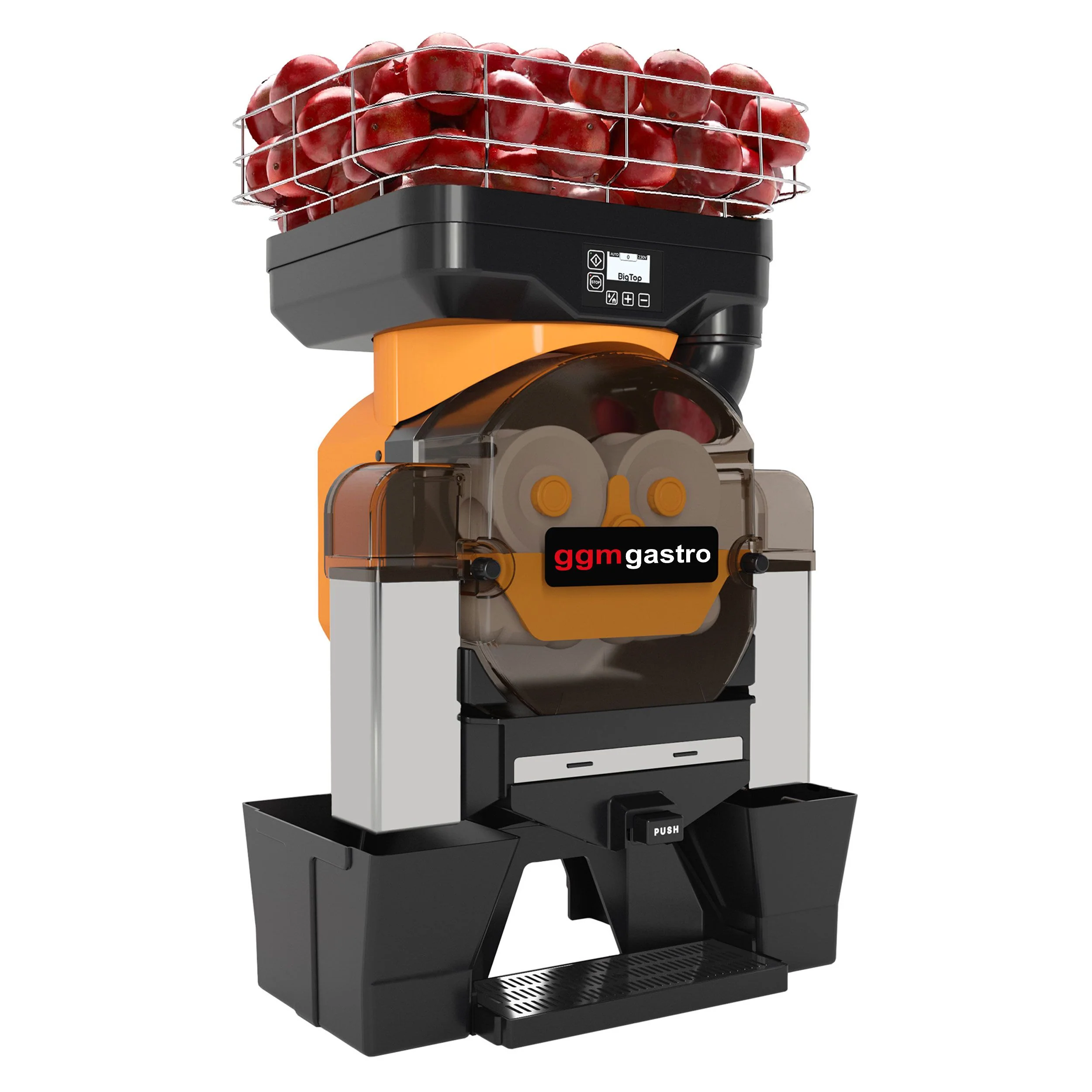 Miniatyr 1
