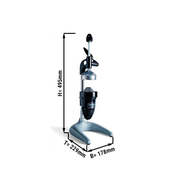 Miniatyr 2