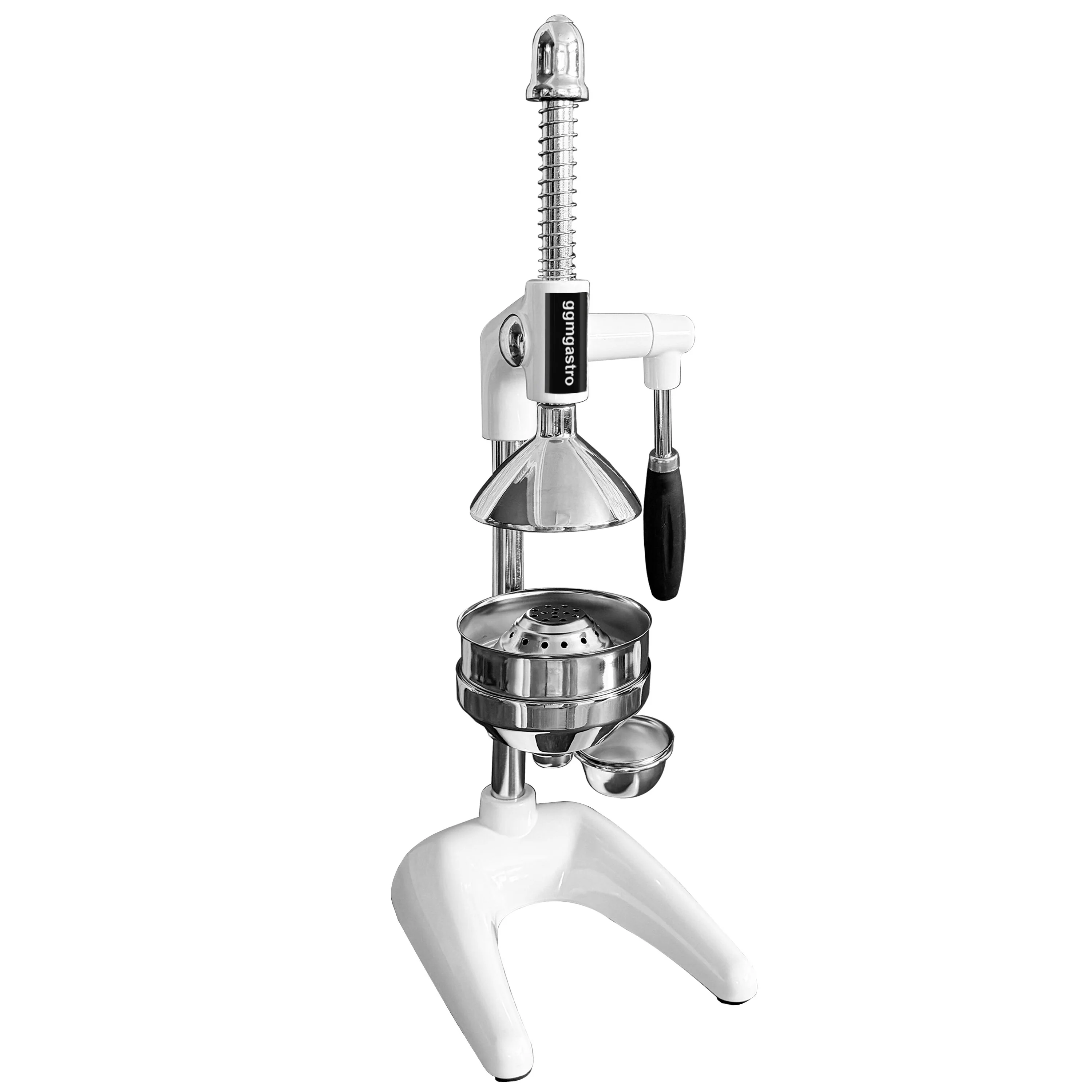 Miniatyr 1